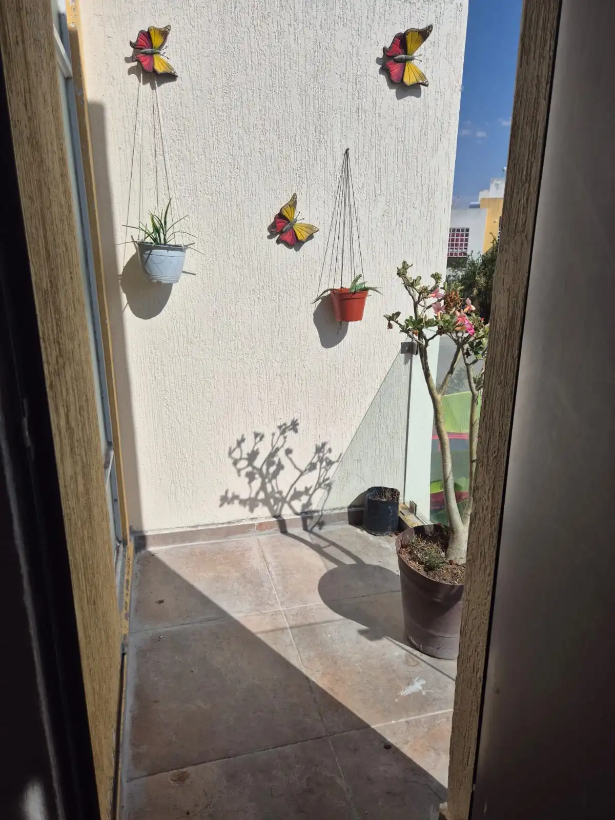 Casa modelo roble en Venta Albaterra Zapopan  2